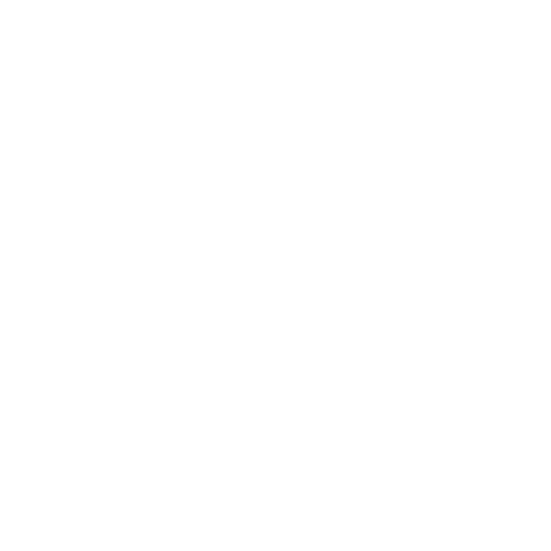 Logo FAI Fundación Alto Aragón Integración